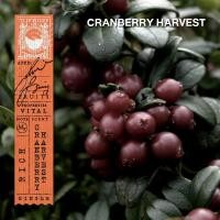 ราคา KARMAKAMET Le Marche Aux Fruits Padang Bazaar Perfume Paper Bag Refill คามาคาเมต ซองหอม กลิ่นผลไม้ ซองหอมปรับอากาศ ถุงหอมชนิดเติม ถุงหอม ถุงหอมปรับอากาศ ถุงหอมรถยนต์ (15001624854)