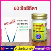 ราคา ยางมะเดื่อ ยางมะเดื่อราเชณย์ ปิดทอง ยางมะเดื่อปิดทองพระ (12483669234)