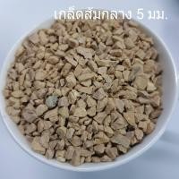 ราคา หินโรยหน้ากระถาง 1 กิโลกรัม หิน หินโรยแคคตัส หินใส่ตู้ปลา หินตกแต่งตู้ปลา หินโรยกระถาง ถูกมาก (9016557123)