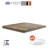ราคา LOTUS ที่นอนยางพาราแน่นสบาย หนา 4 นิ้ว Latex made in belgium ฟรีหมอนหนุนใยสังเคราะห์ ส่งฟรี (15590145397)