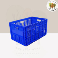 ราคา ลังพลาสติก เกรดA ลังผลไม้ ขนาด 37x55 5x30 5cm ลังพลาสติก ลังโปร่ง ลังอุตสาหกรรม ตะกร้าพลาสติก เข้าห้องเย็นได้ (20815096438)