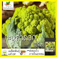 ราคา เมล็ดพันธุ์ กะหล่ำดอก สีเขียว 50 เมล็ด Green Cauliflower F1 seed เมล็ดพันธุ์แท้ นำเข้าจากต่างประเทศ ปลูกผัก สวนครัว (8384061948)
