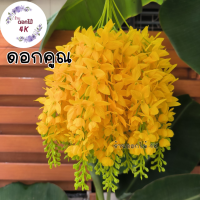 ราคา ดอกคูณ ดอกไม้ปลอม 10ช่อ ดอกคูณขาว เหลืองดอกคูณ ช่อดอกไม้ปลอม ดอกไม้ประดิษฐ์ ดอกราชพฤกษ์ ช่อราชพฤกษ์ ร้านดอกไม้ราชพฤกษ์ (20906352074)