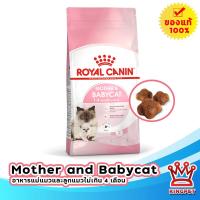 ราคา EXP17 4 24 Royal canin Mother babycat 2 kg สำหรับแม่แมวตั้งท้อง ให้นม และลูกแมวอายุต่ำกว่า 4 เดือน (9380910823)
