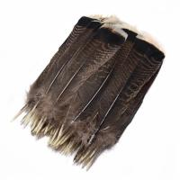 ราคา 10Pieces 25 30cm DIY Plume Eagle Feathers Crafts Jewelry Making Natural Feathers Party Home Decoration Carnival Headdress Accessories (19926001560)