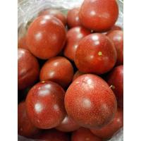 ราคา สดจากไร่ เสาวรสหวาน Passion Fruit ราคาถูก ราคาส่ง (21006491130)