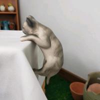 ราคา คละแบบคละลาย แมวปีนเกาะเซรามิก เกาะกระถาง แต่งบ่อปลา แมวเกาะ ตกแต่งขอบกระถาง ขอบอ่าง ขอบบ่อน้ำพุ แมวเซรามิค (20706130692)