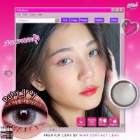 ราคา คอนแทคเลนส์ Wink Lens ลาย PONY สีBrownและGray ส่งด่วน ส่งไว คอนแทคเลนส์แฟชั่นลาย บิ๊กอายตาโต bigeye คอนแทคเลนส์ Contactlens กรองแสง (19172514169)