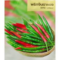 ราคา พริก พันธุ์พริก รวมพริก พริกขี้หนูสวน พริกจินดา พริกหนุ่ม พริกชี้ฟ้า พริกหยวก พริกกะเหรี่ยง พริกหวาน (20960781994)