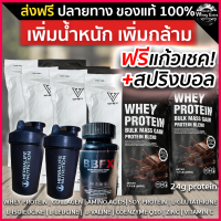 ราคา V WHEY เวย์โปรตีน เพิ่มกล้ามเนื้อ รสช๊อคโกแล็ต โปรตีน 24g แถมฟรีแก้วเชค ของแท้ มีผล Lab ส่งฟรี มีเก็บเงินปลายทาง (20030827301)