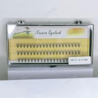 ราคา ต่อขนตาครบชุด ขนตาต่อเส้น ขนตาธรรมชาติ ขนตาแบบหนา ต่อขนตา ขนตาติดเอง ขนตาปลอมขนมิ้ง ขนตาแบบช่อขนตาหนา ขนตาบาร์บี้ (19539939347)