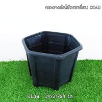 ราคา Luckyware กระถางพลาสติก ทรงหกเหลี่ยม รุ่น 043 (924814257)