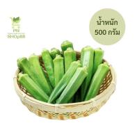 ราคา กระเจี๊ยบเขียวสด ไร้สารเคมี 100 ตัดสดจากต้นทุกวัน จัดส่งภายใน 24 ชั่วโมง (21283806307)