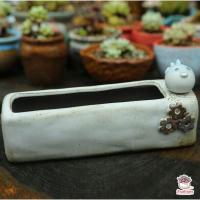 ราคา กระถางสี่เหลี่ยมทรงยาวลายสัตว์น้อย กระถางดินเผาเคลือบสี ไม้อวบน้ำ กุหลาบหิน cactus succulentหลากหลายสายพันธ์ (4563748214)