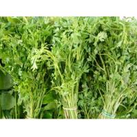 ราคา เมล็ดพันธุ์หอมแย้ สะแงะ 300เมล็ด (12491680015)