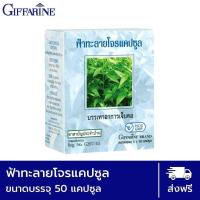 ราคา ฟ้าทะลายโจร ฟ้าทลายโจร แคปซูล ฟ้าทลายโจรแท้ กิฟฟารีน ฟ้าทะลายโจรแคปซูลกิฟฟารีน 50 แคปซูล ฟ้าทะลายโจรกิฟฟารีน เลขทะเบียน G207 43 (10452903206)