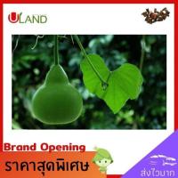 ราคา Uland เมล็ดพันธ์ุน้ำเต้า พันธ์ุกลมพื้นบ้านของแท้ คัดพิเศษ 20 เมล็ด สามารถนำเมล็ดเดิมมาปลูกซ้ำได้ เมล็ดผัก เมล็ดพืช ผักสวนครัว (7184618057)