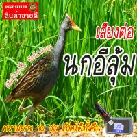 ราคา BigT Shop เสียงต่อนกอีลุ้ม แฟลชไดร์ฟ USB เสียงนกอีลุ้ม เสียงดังฟังชัด เสียงนกแท้ เสียงดังฟังชัด100 เข้าง่ายติดง่าย (20612697911)