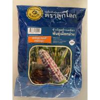 ราคา เมล็ดพันธุ์ข้าวโพดข้าวเหนียวเผือกม่วง ขนาด 1 กก ตราลูกโลก หมดอายุ 1 68 (19403768672)