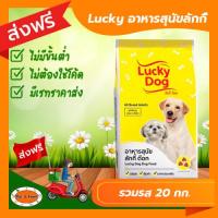 ราคา ส่งฟรีไม่ต้องใช้โค้ด Lucky อาหารสุนัขลักกี้รวมรส 20 กก (19150947686)
