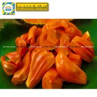 ราคา ต้นขนุน แดงสุริยา ขนุนสีแดง 1 ต้น มีรับประกันเปลี่ยนต้นใหม่ฟรี (792708533)