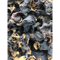 ราคา เห็ดหูหนูดำแห้ง ear mushroom ขนาด 100 กรัม เห็ดหูหนูดำ ไทย เห็ดหูหนูดำอบแห้ง เห็ดหูหนู เห็ดหูหนู ดำ เห็ดหูหนูแห้ง (21122884772)