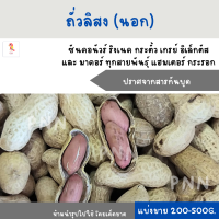 ราคา ถั่วลิสง แบ่งขาย 200 500G สำหรับนกแก้วขนาดกลาง ใหญ่ แฮมสเตอร์ กระรอก กระแต (19758951013)