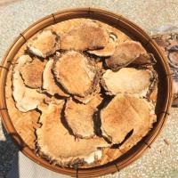 ราคา ว่านชักมดลูกขนาด200กรัม (19421442251)