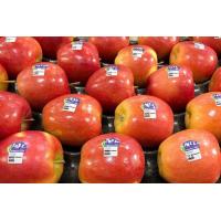 ราคา 20 เมล็ด เมล็ดแอปเปิ้ล สายพันธุ์แจ๊ส Jazz Apple อัตราการงอก 70 80 Apple seeds (9079374117)