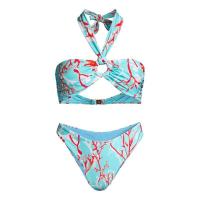 ราคา Bikini set New Bikini Halter Print Split Swimsuit Set Women Swimwear Summer Swimming Suit Blue 2024 (21178452279)