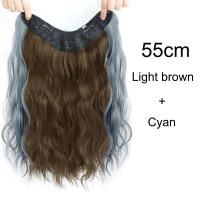 ราคา 55cmV รูปผมหยิกยาวสังเคราะห์ไฮไลท์แขวนหูต่อผมสีชมพูสีเทาสีฟ้าชิ้นเดียวที่มองไม่เห็นต่อผม (15697970724)