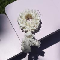 ราคา พวงมาลัยอุบะสีขาวล้วน ขนาด 1 นิ้วดินปั้น (19086119483)