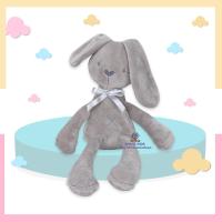 ราคา N0027 ตุ๊กตากระต่ายเน่า ตุ๊กตาเน่า หมีเน่า กระต่ายใส่ชุดบัลเล่ต์ ชุดถอดได้ เนื้อผ้านุ่มนิ่ม ของเล่น Ribbit bear toy (21203410673)