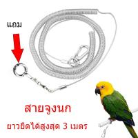 ราคา แถมห่วงเปิด ขนาด 12มม สายจูงนก สายยืดคล้องขานก เชือกนกแก้ว 3เมตร ห่วงขานก ห่วงเปิดนก เกรย์ ตัส กระตั้ว อิเล็คตัส (12897147159)