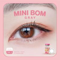 ราคา คอนแทคเลนส์ คิตตี้ คาวาอิ Mini Bom Gray (11331662108)