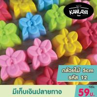 ราคา 5 cm พิมพ์วุ้น พิมพ์ซิลิโคน พิมพ์ทำขนม 59 บาท โหล ชุดที่ 1 (9964929103)