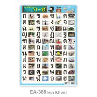 ราคา แผ่นความรู้พลาสติก ขนาด A4 แบบหัดอ่าน ก ไก่ ฮ นกฮูก แบบหัดอ่านสระ วรรณยุกต์ไทย (13999654281)