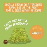 ราคา หญ้ากระต่าย แกสบี้ ชินชิลล่า แพรี่ด็อก อาหารกระต่าย รวมหญ้า Burgess (20830051289)