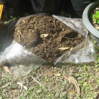 ราคา Cow Manure 4½ กิโลกรัมแห้ง 100 ปุ๋ยคอก ขี้วัวแห้ง ขี้วัว มูลวัวแห้ง มูลวัว ปุ๋ยมูลวัวสำหรับพืชสวน ไม้ดอกไม้ประดับ พืชผักสวนครัวสต็อกในประเทศไทย จัดส่งที่รวดเร็ว (203787351)