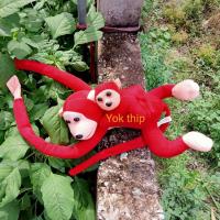 ราคา ลิง ลิดกอดคอ ลิงของเล่น ลิงห้อยในรถ ลิงแขนยาว ตุ๊กตาลิง ตุ๊กตาลิง ผ้าขน (10176786585)