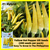 ราคา เมล็ดพันธุ์พริกเหลือง Yellow Pepper Seeds for Planting งอกง่าย 200เมล็ด ซอง เมล็ดพันธุ์พริก คุณภาพดี ราคาถูก ของแท้ 100 Hot Pepper Seeds Vegetable Seeds Chili Pepper Plants พริก เมล็ดพันธุ์ เมล็ดพันธุ