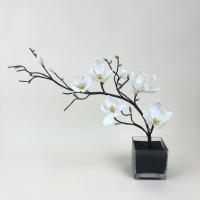 ราคา แจกันดอกไม้ประดิษฐ์ ดอกแมกโนเลียญี่ปุ่นพร้อมแจกัน ดอกไม้ปลอมตกแต่งบ้าน (19903257282)