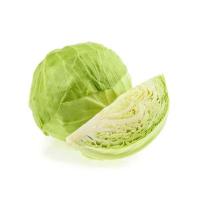 ราคา กะหล่ำปลีเบา กะหล่ำปลีดอย สด สะอาด รับประกันคุณภาพ (14963551000)