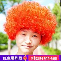 ราคา L L วิกปลอม วิกแอฟโฟร่ วิก แอฟโฟร่ หัวฟู ผมฟู เจ้าเงาะ เงาะป่า วิกเงาะ วิกผมหยิก วิกคอสเพลย์ คอสเพล ผมปลอม ผม (15141408577)