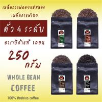 ราคา เมล็ดกาแฟคั่ว 4 ระดับ เมล็ดกาแฟดอยแม่สลอง ขนาด 250g อาราบิก้าแท้ Light roast Medium roast Medium dark roast Dark roast Whole bean arabica coffee โรงคั่วกาแฟดอยแม่สลอง (16531042651)