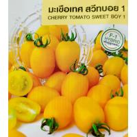 ราคา เมล็ดพันธุ์ มะเขือ มะระ มะเขือเทศ ทุกชนิด เมล็ดผักสวนครัว เมล็ดมะเขือ มะระขี้นก มะระจีน มะเขือเปราะ มะเขือพวง มะเขือยาว (20962571904)