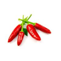 ราคา พริกขี้หนูสวน แบบพริกสด ใช้ทำอาหาร จากบ้านสวน 1 กก 300 บาท ครึ่ง กก 150บาท (7039642810)