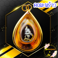 ราคา มะพร้าวหลอด หรือ คตมะพร้าว แช่น้ำมันจันทร์ พร้อมกรอบทองไมคอล สุดยอดของมงคลทนสิทธิ์ ป้องกันไสยศาสตร์ทุกชนิด (17083350899)