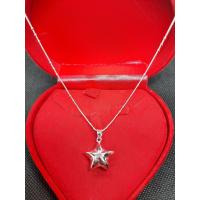 ราคา สร้อยคอเงินแท้ พร้อมจี้ดาวประกายฟ้า นำโชค (7679391081)