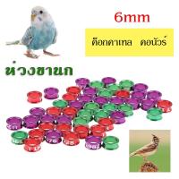 ราคา ห่วงขานก ห่วงขานกซันคอ ห่วงขานกแก้ว นกแก้ว ห่วงใส่ขานก อุปกรณ์นกแก้ว (17456590412)